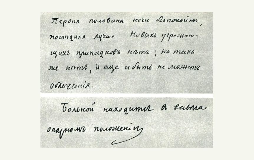 Шолохов скажет слово о Пушкине
